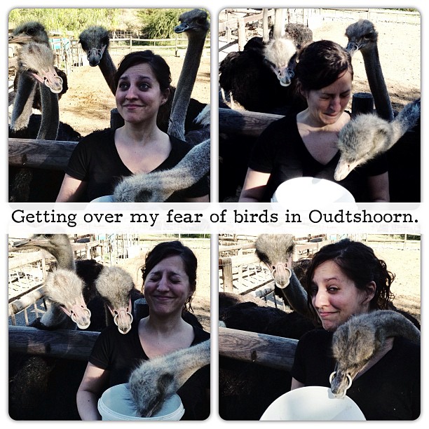 Kate overcomes her fear of birds! (photo courtesy of Adventurous Kate).
