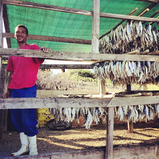 Fisherman in the Western Cape (photo courtesy of @UncorneredMarket)