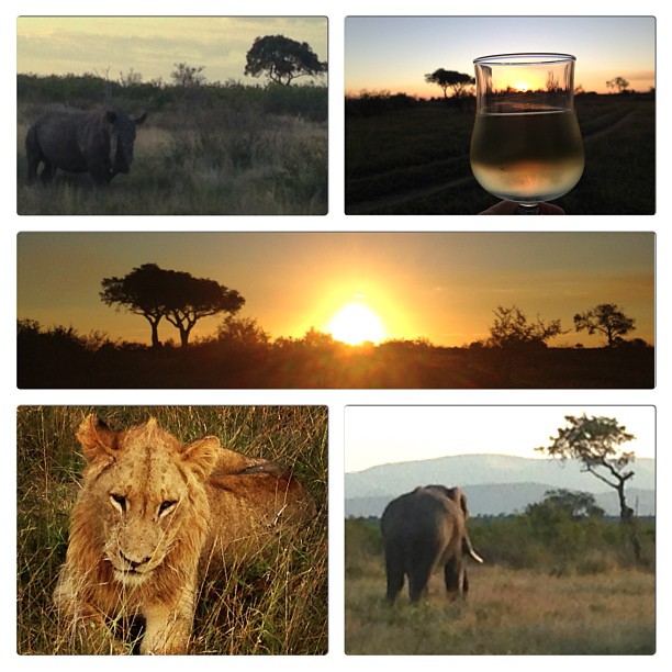 Kruger National Park (photo courtesy of @Claudiabia)