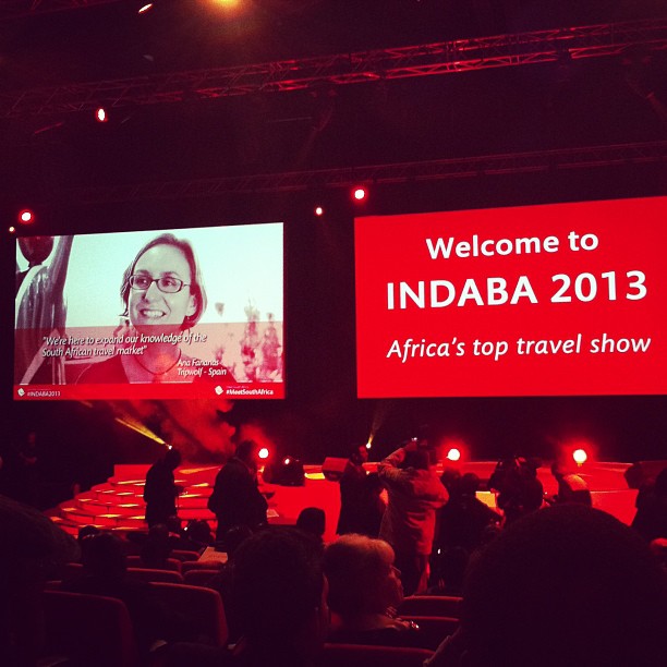 The bloggers were featured during the official opening of INDABA 2013.
