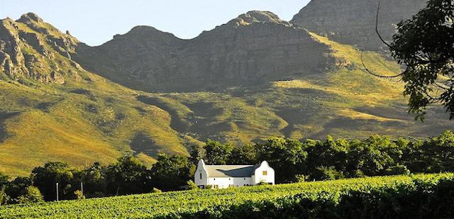 Uncovering Stellenbosch with #Stellenblog