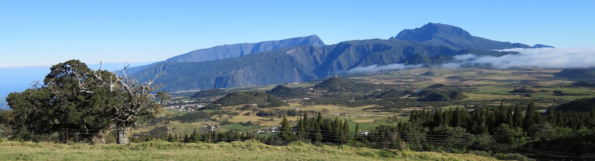 The #GoToReunion video